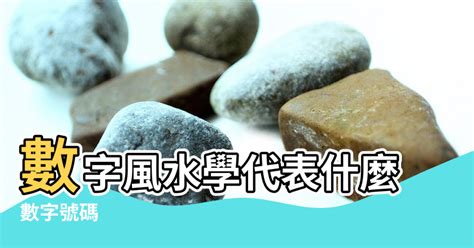 代表數字 乾燥花 風水